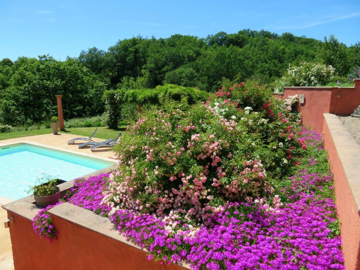 Domaine Les Causeries Laguépie Buitenkant foto