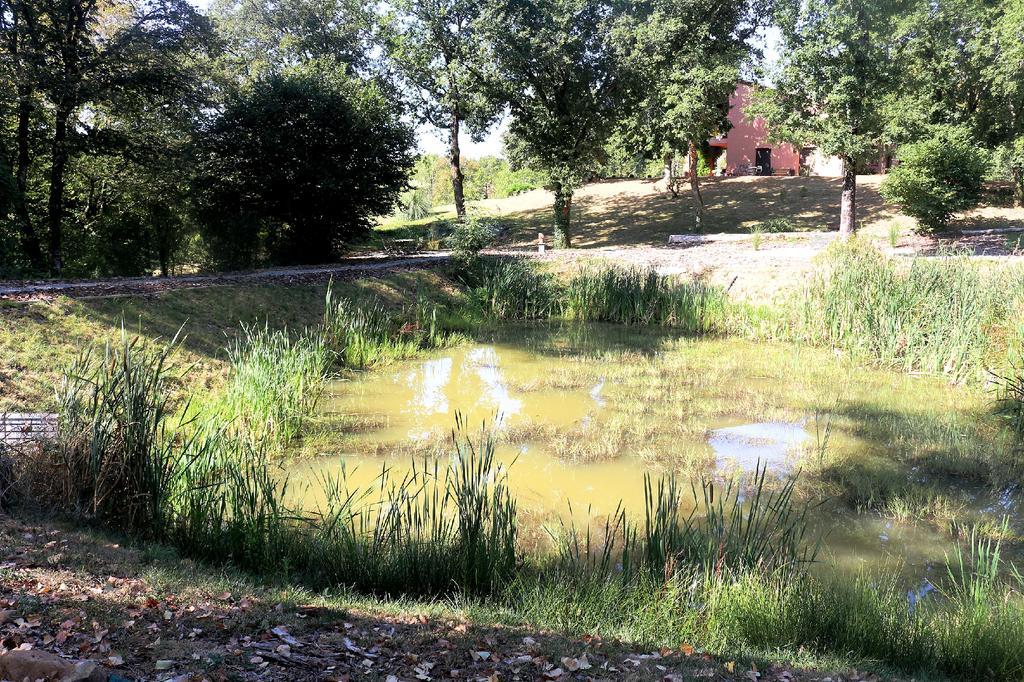 Domaine Les Causeries Laguépie Buitenkant foto